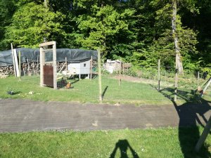 IMG_20200516_184430.jpg
