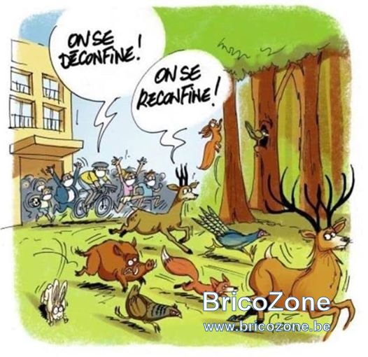 humour 11.jpg
