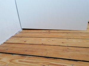 IMG_20200529_175411.jpg