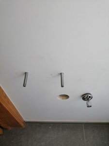 IMG_20200531_113949.jpg