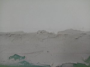 IMG_20200601_165714.jpg