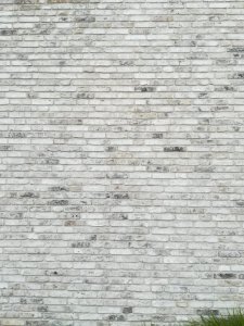 IMG_20200611_110059.jpg