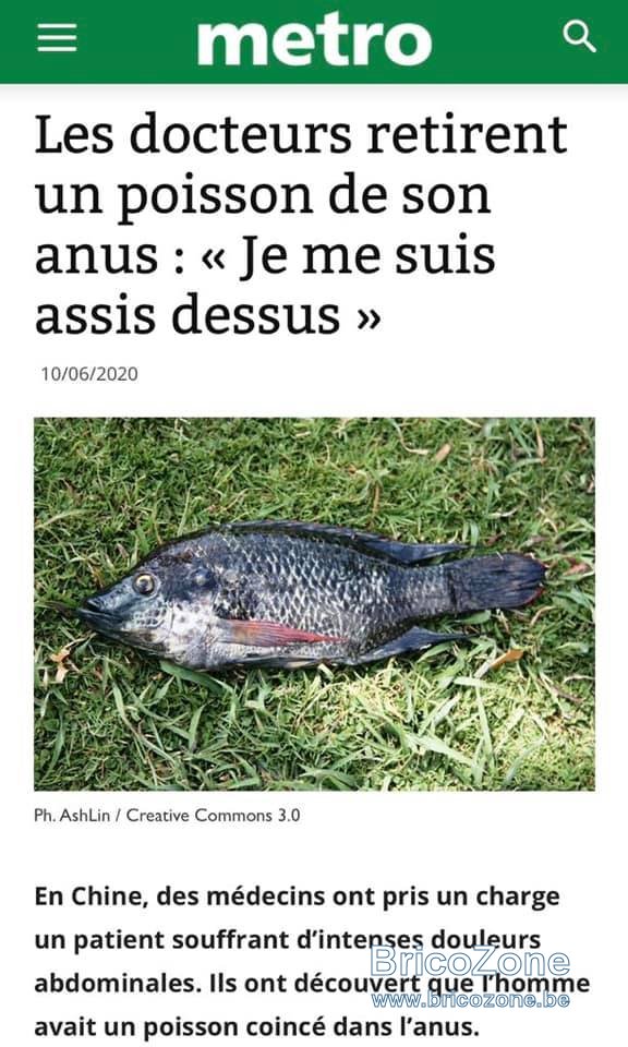 poisson.jpg