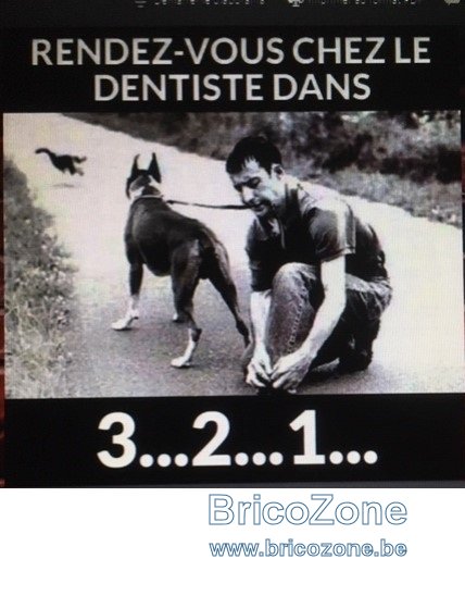 humour 11.jpg