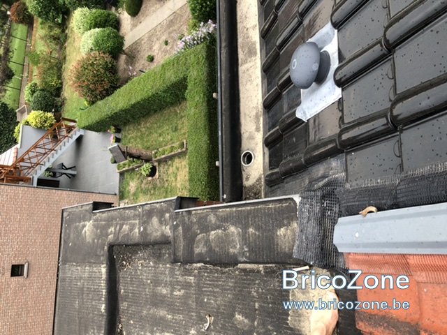 BD28AE53-A305-42A9-ADFF-54CD037E5A67.jpeg