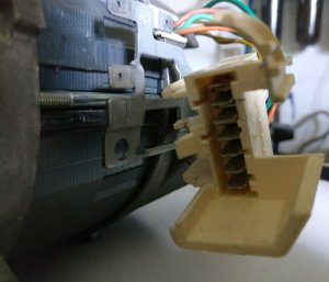 IMG_20200707_131853.jpg