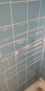 IMG_20200710_100352.jpg