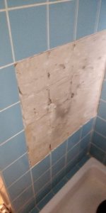 IMG_20200710_114542.jpg