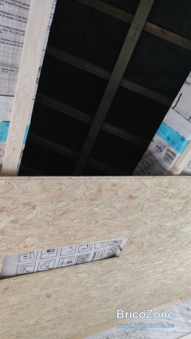 received_602781723707737.jpeg