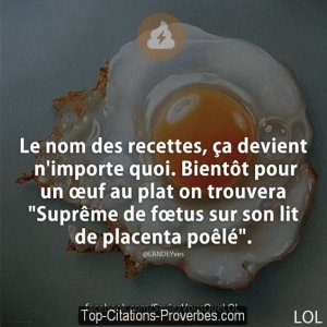 humour 27.jpg