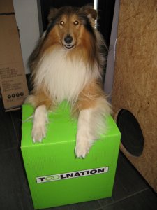 IMG_6719 r.JPG