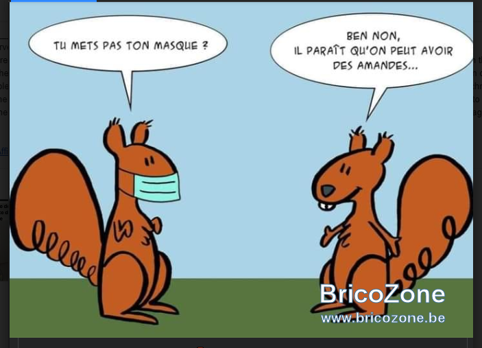 amande.PNG