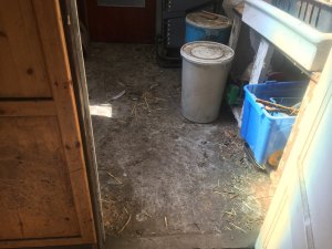 IMG_3382.JPG