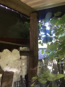 IMG_3389.JPG