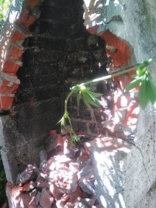 IMG_20200808_122428.jpg