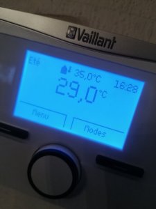 IMG_20200810_162423.jpg