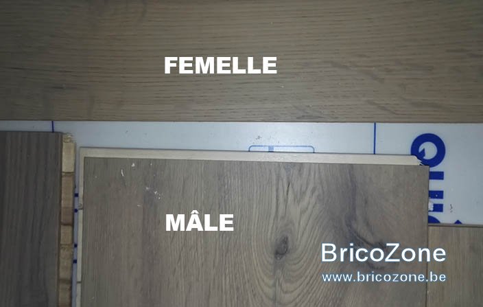 B3.jpg