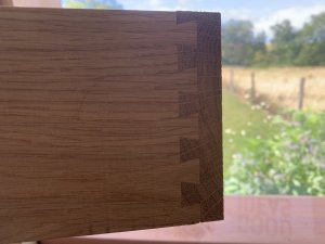 IMG_4235.jpeg
