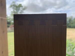 IMG_4251.jpeg