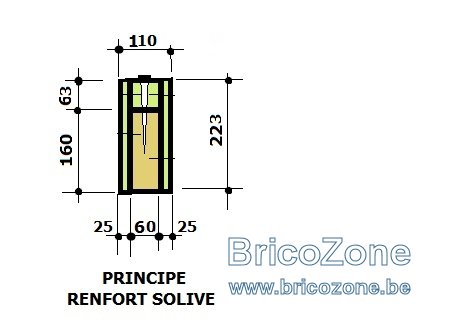 RENFORCEMENT DE SOLIVE 223.jpg