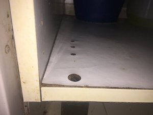IMG_3202.JPG
