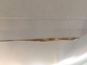 IMG_3709.JPG