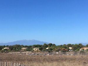 thumbnail_IMG_4246.jpg
