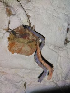 IMG_20200905_163052.jpg