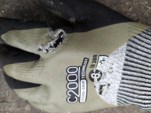 IMG_20200910_162114.jpg