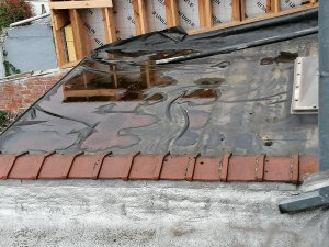 IMG_20200924_144836.jpg