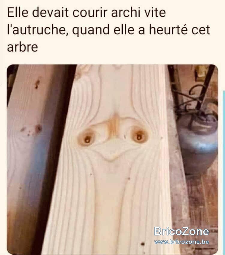 Planche.jpg