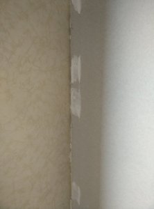 IMG_20201004_100837.jpg
