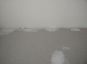 IMG_20201004_100844.jpg