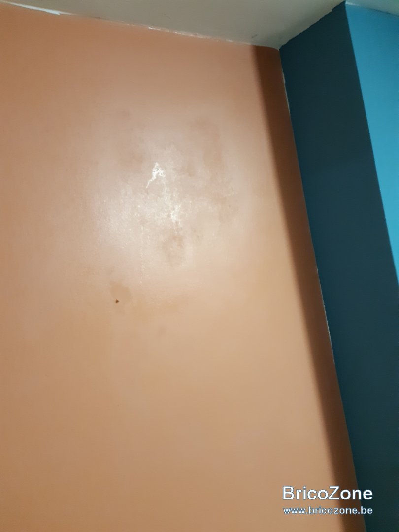 20201008_194349.jpg