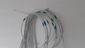 20201016_125041.jpg