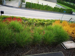 IMG_20201017_103525.jpg