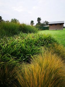 IMG_20201017_103744.jpg