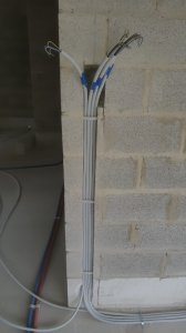 20201017_171048.jpg