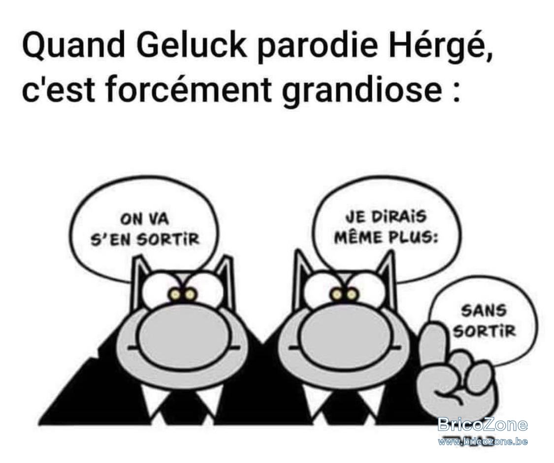 WhatsApp Image 2020-10-23 at 15.59.00.jpeg