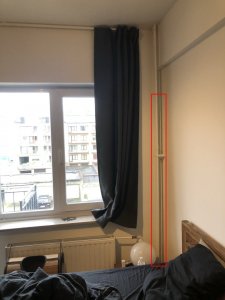 IMG_4839.JPEG