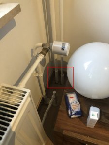 IMG_4838.JPEG