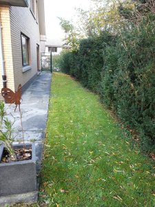 20201104_142321.jpg