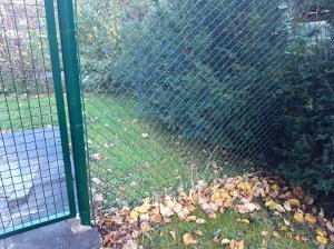 20201104_142342.jpg
