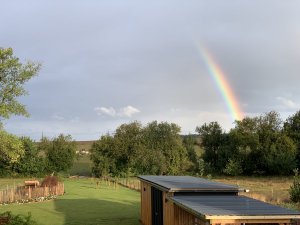 IMG_4545.jpeg