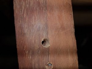 20201127_141353 (Moyen).jpg