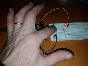20201128_165250 (Moyen).jpg
