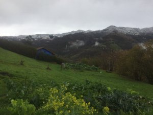 IMG_4597.JPG