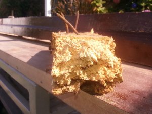20171014_135644.jpg