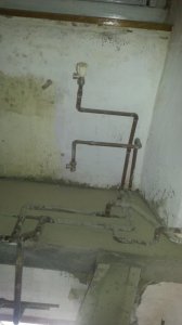 20180415_163320.jpg