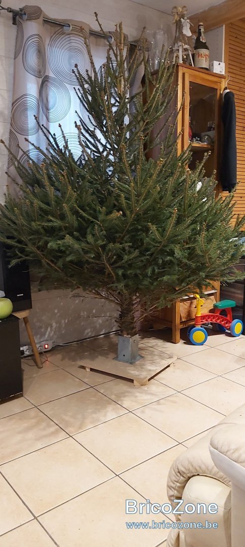 131111434_2273221396156826_5049350586669048798_n.jpg